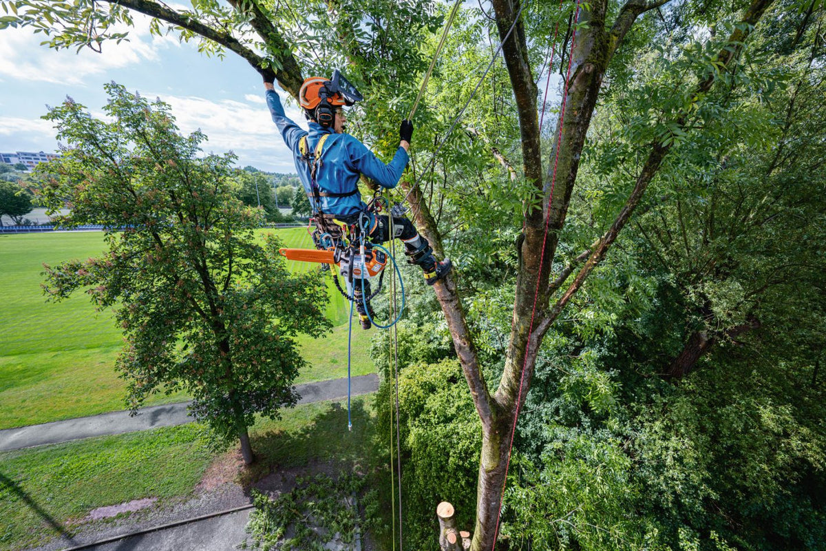 STIHL MSA 240.0 TC-O akkusaha -runko